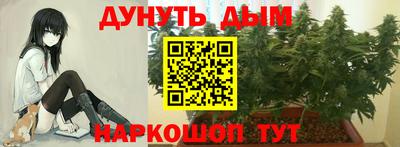 МДПВ Заводоуковск