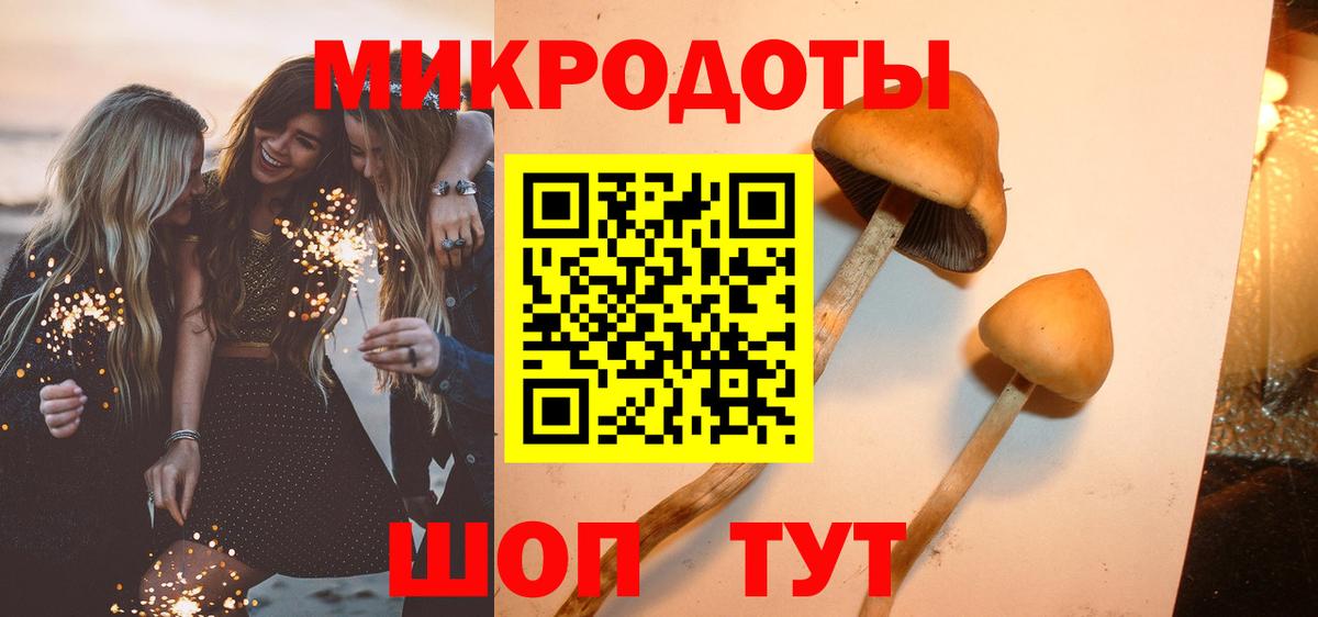 Галлюциногенные грибы Psilocybine cubensis Михайловск