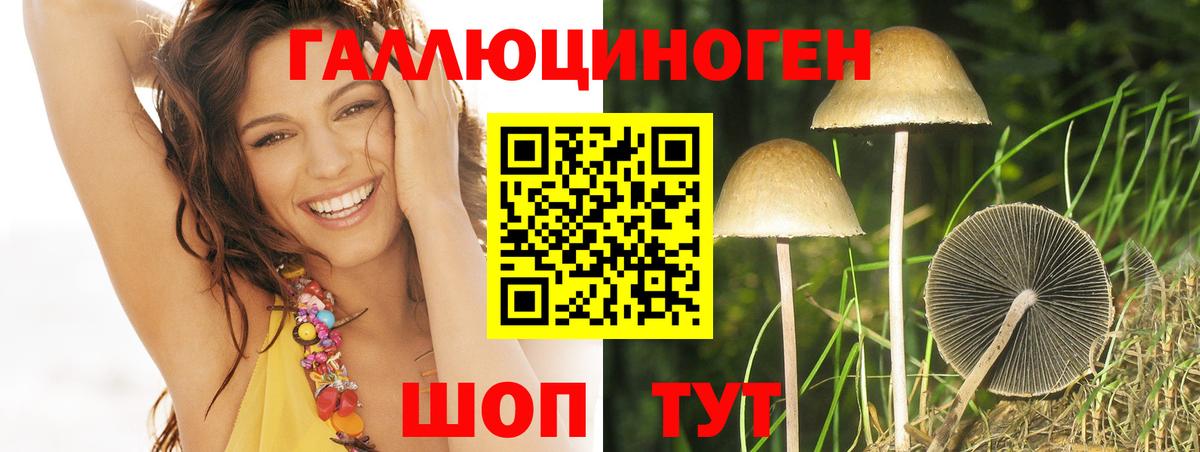 МЕФ   Кокаин  Марихуана  NBOMe  Alpha-PVP СОЛЬ кристаллы  Гашиш  Михайловск  Вход с VPN 