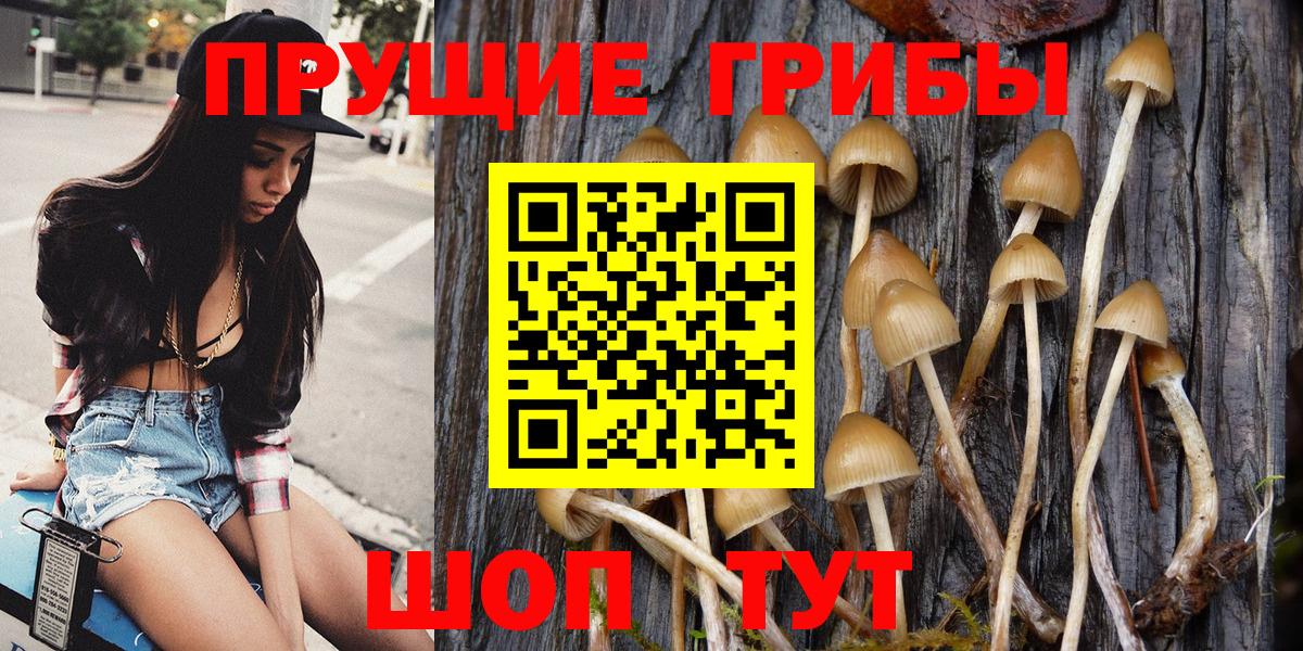 Галлюциногенные грибы Magic Shrooms  Вход с VPN  где найти   Михайловск 
